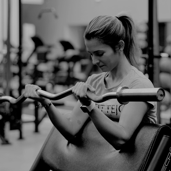 Equipamentos de Musculação no Fittejo