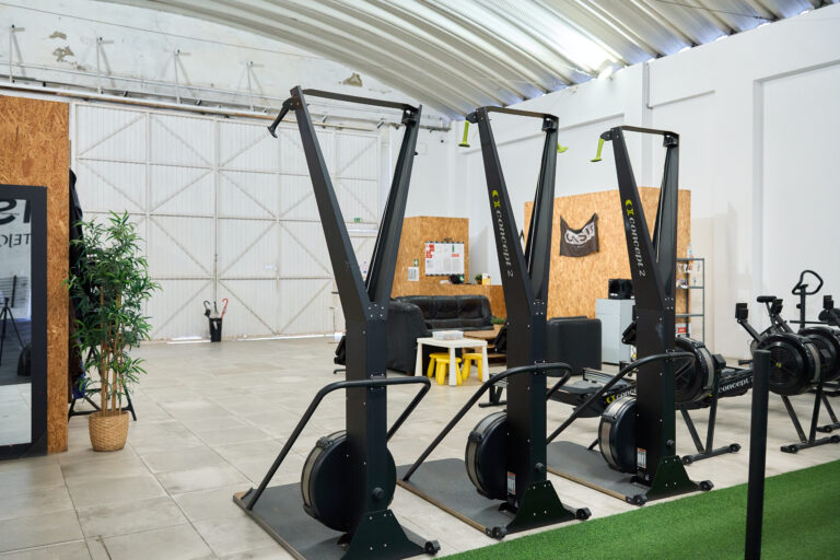 Fittejo Oasis